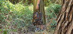 Foxfern - Backpack