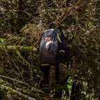 Lunaris - Turtle Shell Backpack