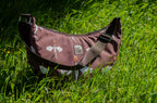 Dragonfire - Crescent Bag